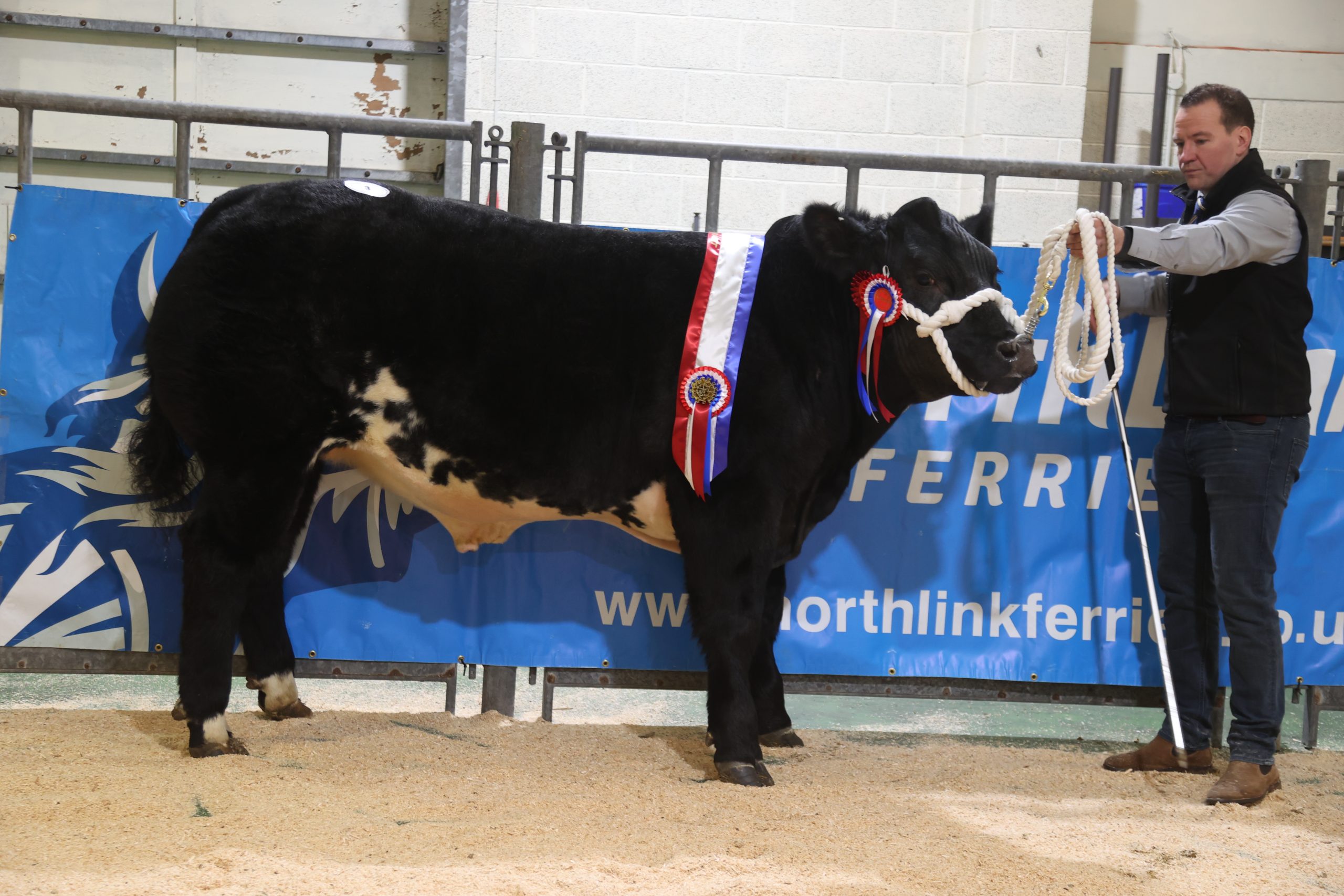 Photo of Supreme Champion at the 2023 Prime Stock Show